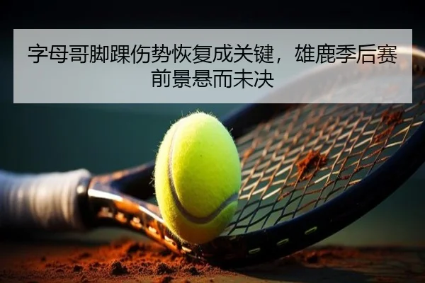 字母哥脚踝伤势恢复成关键，雄鹿季后赛前景悬而未决
